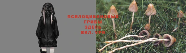 молекула духа Абаза