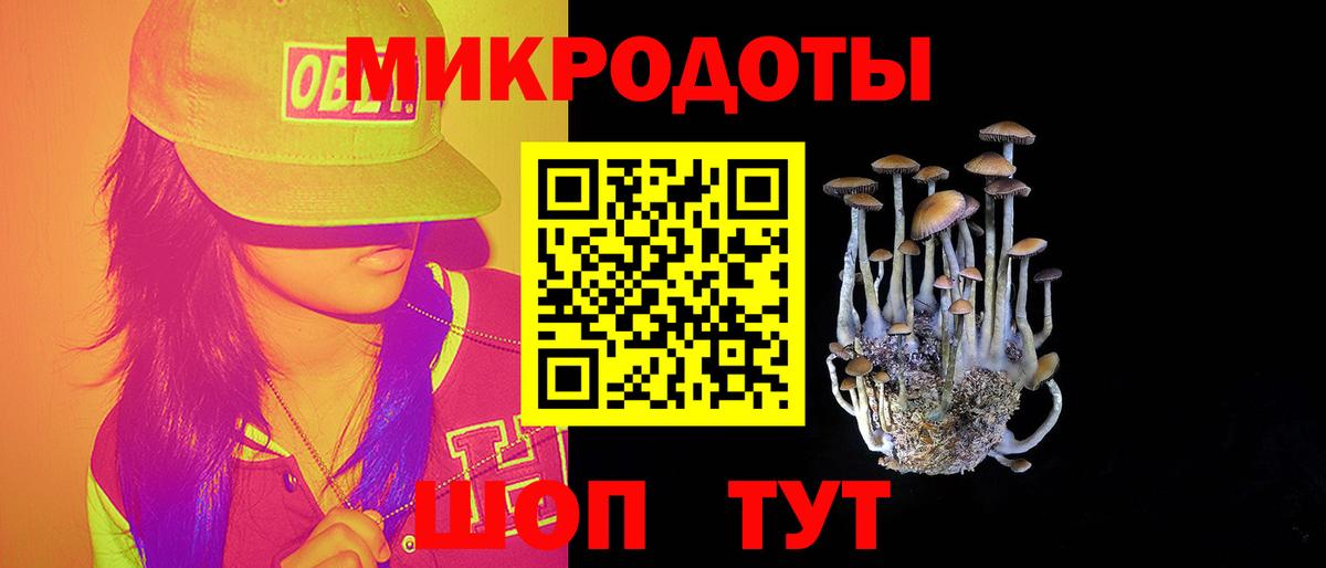 Галлюциногенные грибы Psilocybine cubensis Назрань