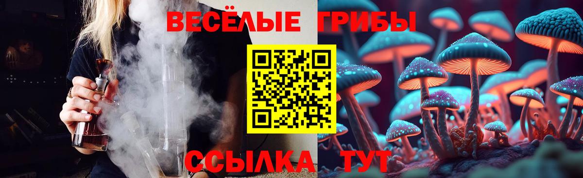 что такое наркотик  Вход с VPN  Назрань  Псилоцибиновые грибы Cubensis 